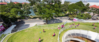幼兒園設(shè)計(jì)裝修中該如何選擇綠植 記住一下三點(diǎn)原則即可